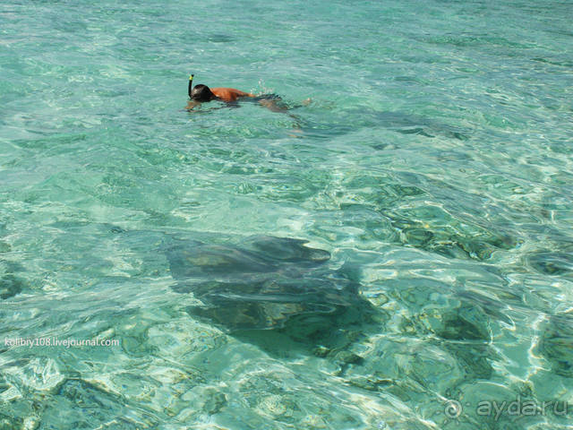 БОРА-БОРА - сладострастная отрава.