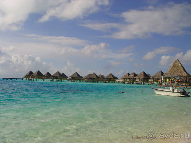 БОРА-БОРА - сладострастная отрава.