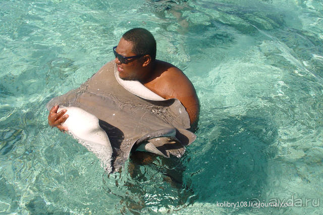 БОРА-БОРА - сладострастная отрава.