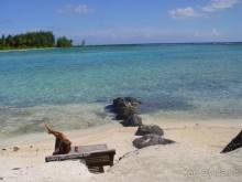 БОРА-БОРА - сладострастная отрава.