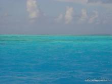 БОРА-БОРА - сладострастная отрава.