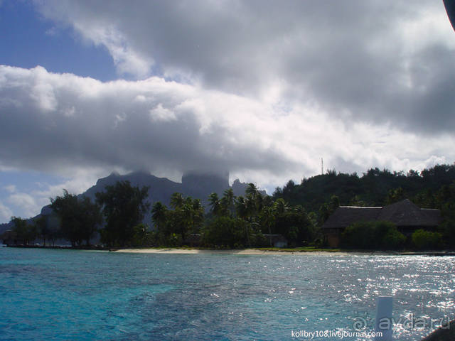 БОРА-БОРА - сладострастная отрава.