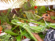 БОРА-БОРА - сладострастная отрава.