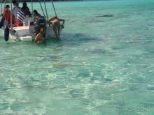 БОРА-БОРА - сладострастная отрава.