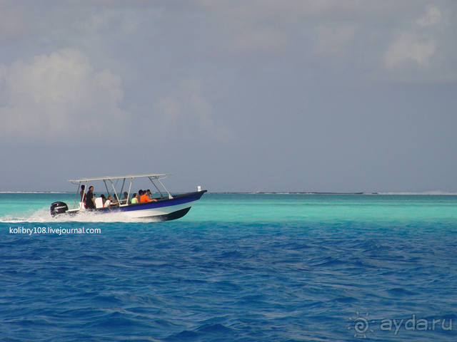 БОРА-БОРА - сладострастная отрава.