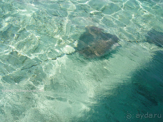 БОРА-БОРА - сладострастная отрава.