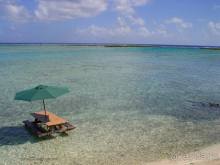 БОРА-БОРА - сладострастная отрава.