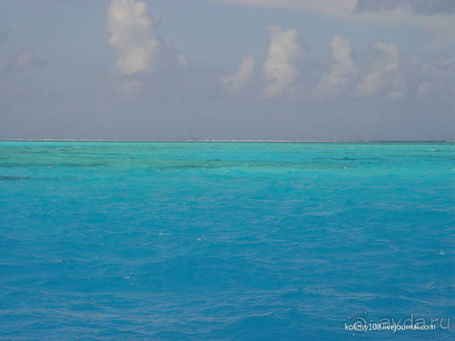 БОРА-БОРА - сладострастная отрава.