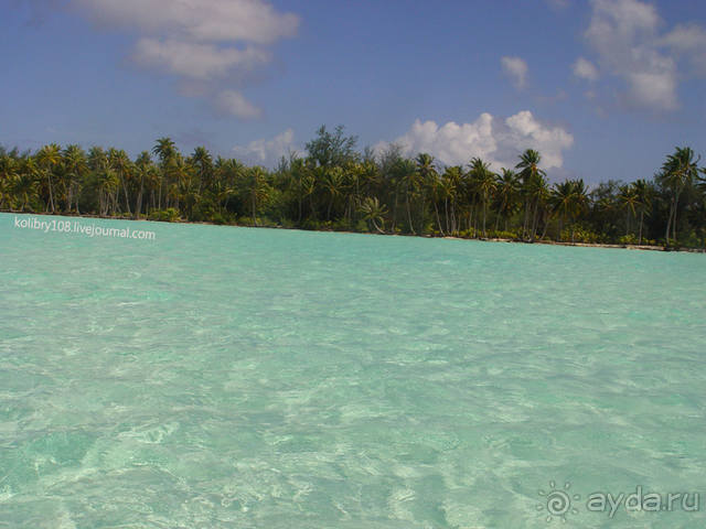 БОРА-БОРА - сладострастная отрава.