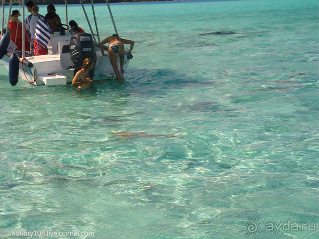 БОРА-БОРА - сладострастная отрава.