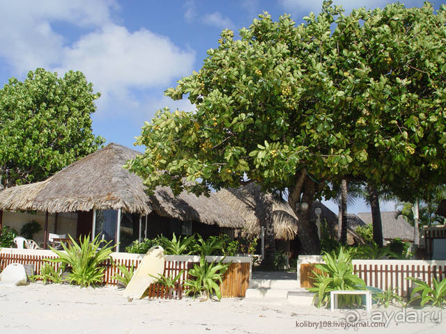 БОРА-БОРА - сладострастная отрава.