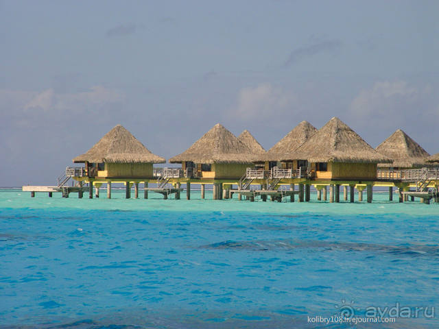 БОРА-БОРА - сладострастная отрава.