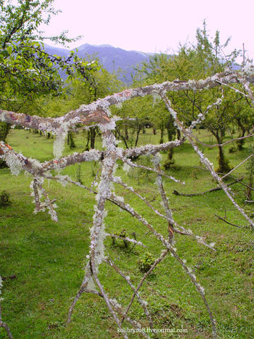 Хочу в Аибгу.