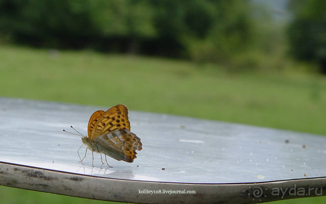 Хочу в Аибгу.