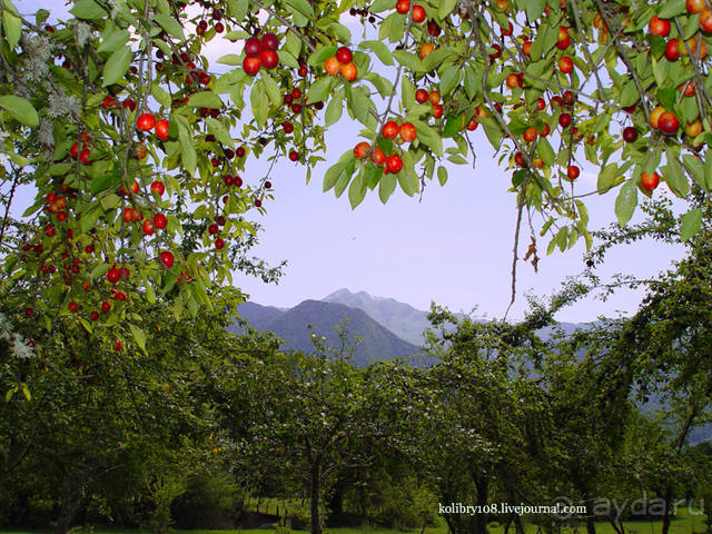 Хочу в Аибгу.