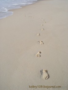 Сейшелы (часть первая).