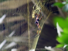 Сейшелы (часть первая).