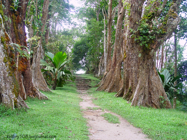 Сейшелы (часть первая).