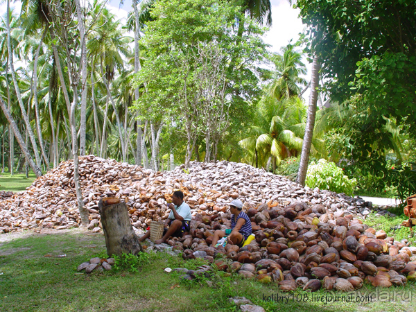 Сейшелы (часть первая).