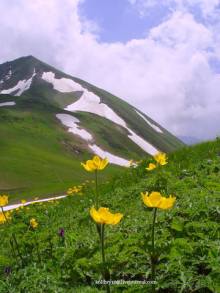 Обитель Бога