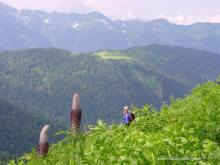 Обитель Бога