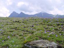 Обитель Бога