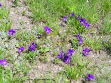 Обитель Бога