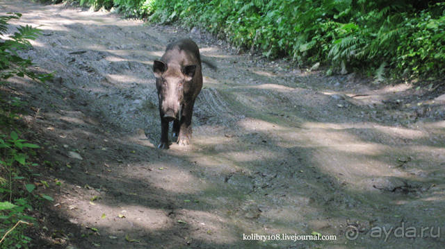 Обитель Бога