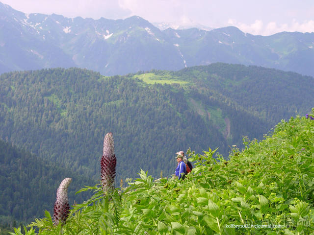 Обитель Бога