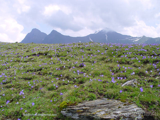 Обитель Бога
