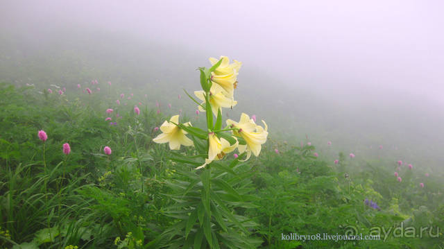 Обитель Бога