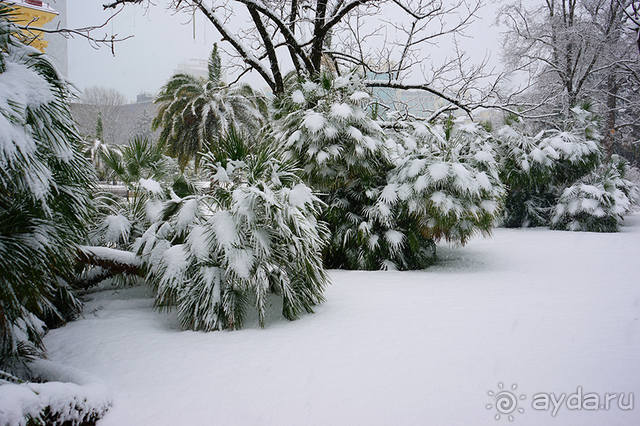Мело, мело по всей земле...