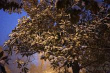 Мело, мело по всей земле...