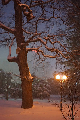 Мело, мело по всей земле...