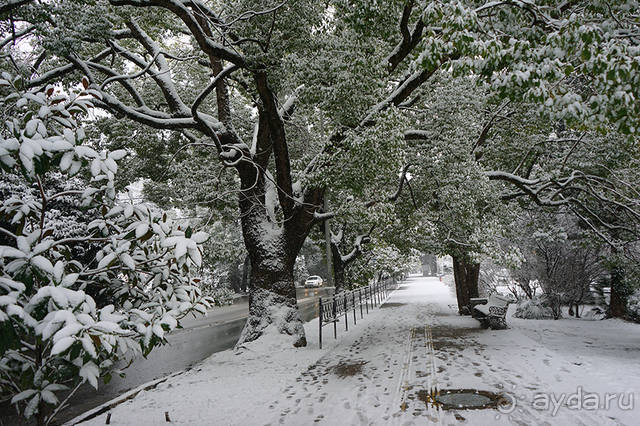 Мело, мело по всей земле...