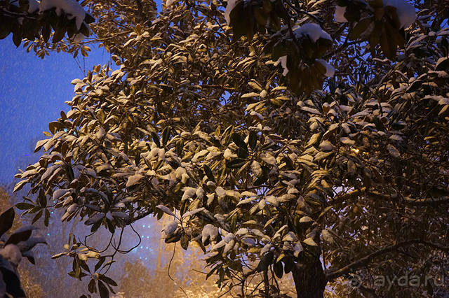 Мело, мело по всей земле...