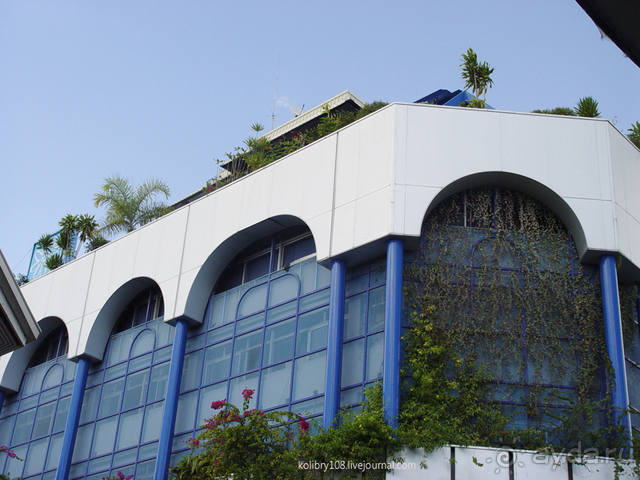 Вся правда о ТАИТИ