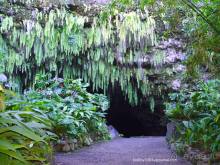 Вся правда о ТАИТИ