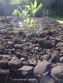 Вся правда о ТАИТИ