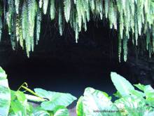 Вся правда о ТАИТИ