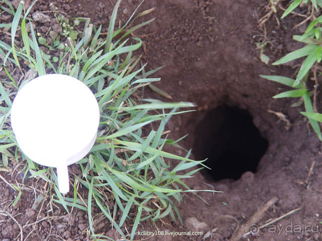 Вся правда о ТАИТИ