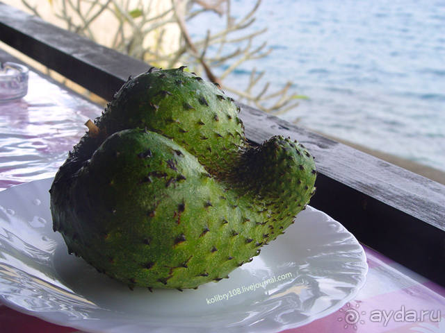 Вся правда о ТАИТИ