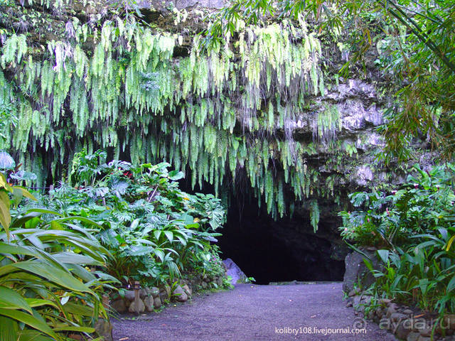 Вся правда о ТАИТИ