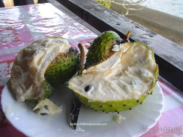 Вся правда о ТАИТИ