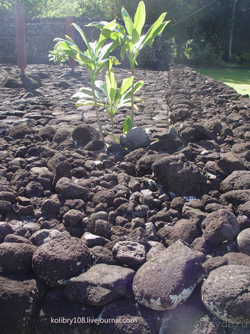 Вся правда о ТАИТИ