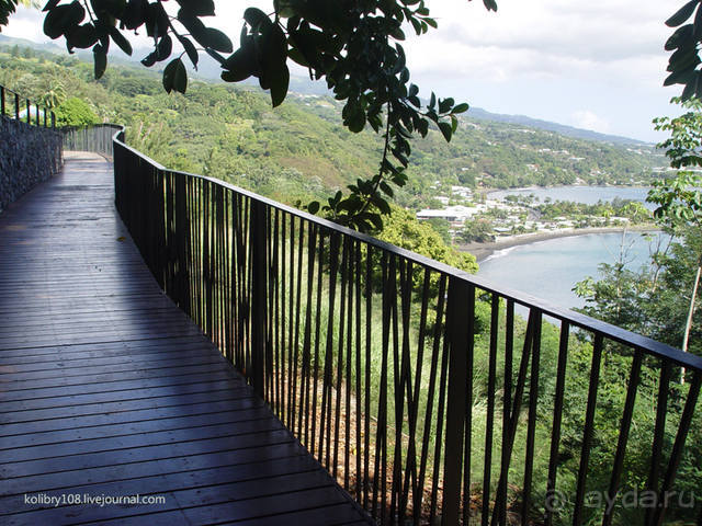 Вся правда о ТАИТИ