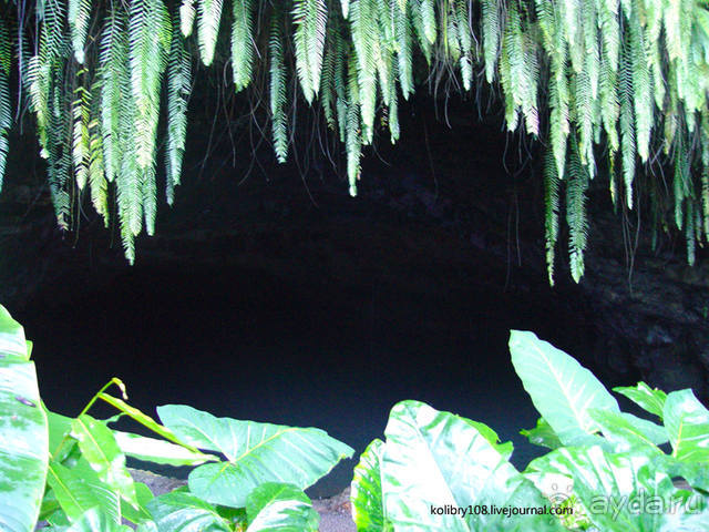 Вся правда о ТАИТИ