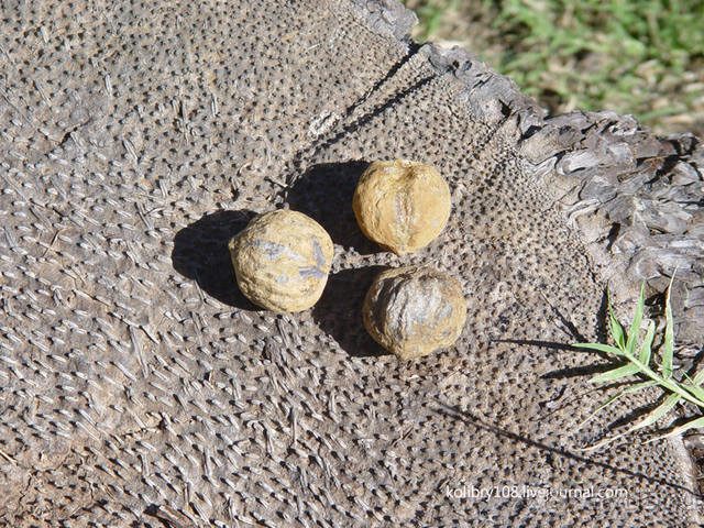 Вся правда о ТАИТИ