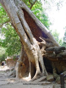 Храмы Камбоджи.