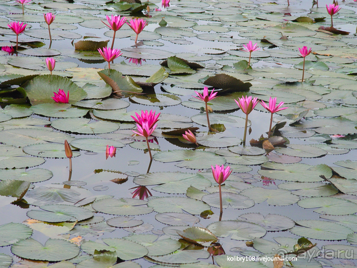 Храмы Камбоджи.